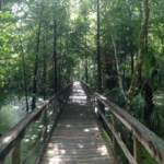 Florida State Parks